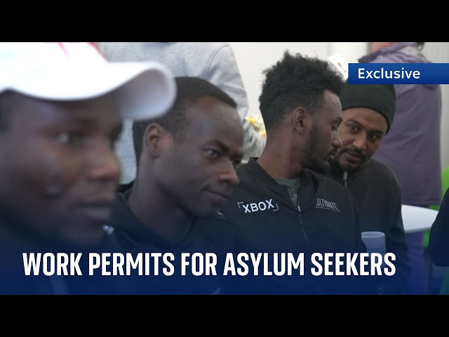 Backlogs see increasing number of asylum seekers granted work permits
