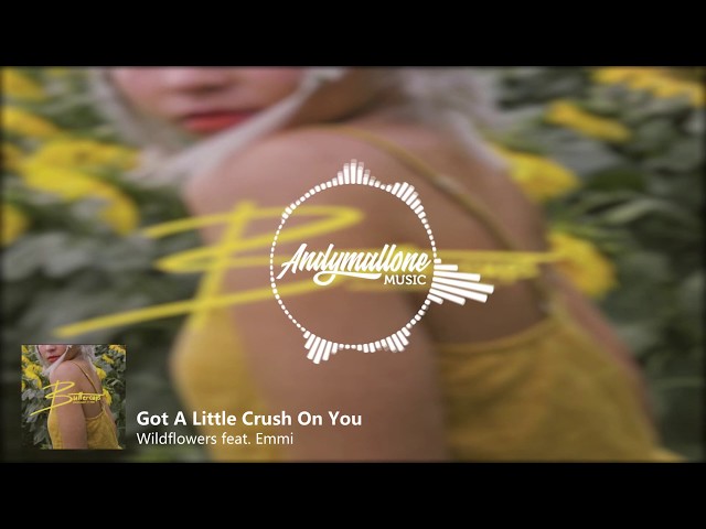 Wildflowers feat. Emmi - Got A Little Crush On You