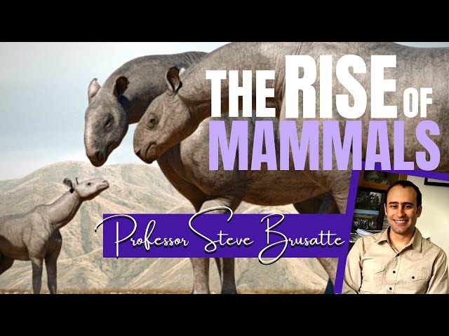 The Rise and Reign of the Mammals ~ PROFESSOR STEVE BRUSATTE