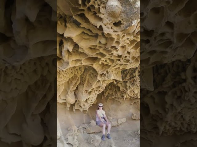 Mudfossils 🤔 Zeugen einer verschollenen Riesen Zivilisation? 🤔 (Fontainebleau / Frankreich)
