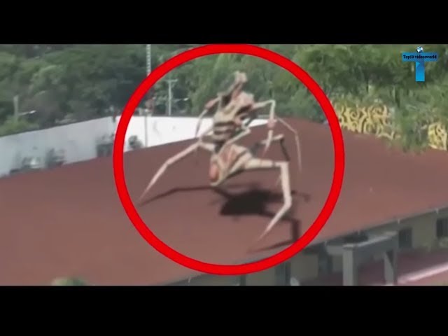 Top 10 Strange & Mysterious Videos That Cannot Be Explained [Top10 Videosworld]
