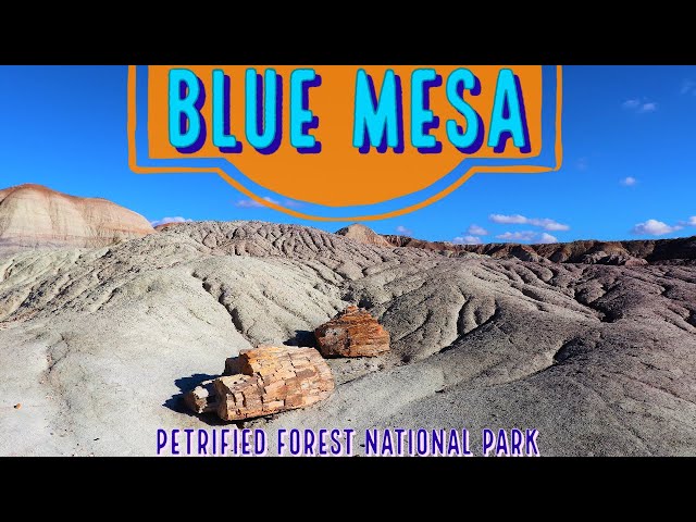 Blue Mesa Trail at Petrified Forest National Park - Epic Color, Geology and Petrified Wood