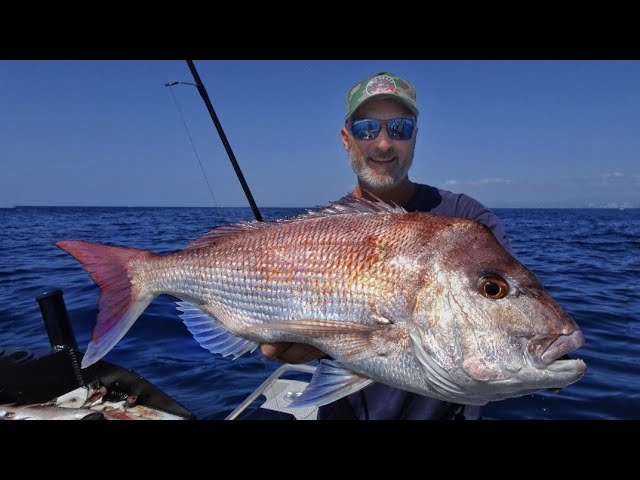 Snapper Fishing Secrets ALL You Need To Know