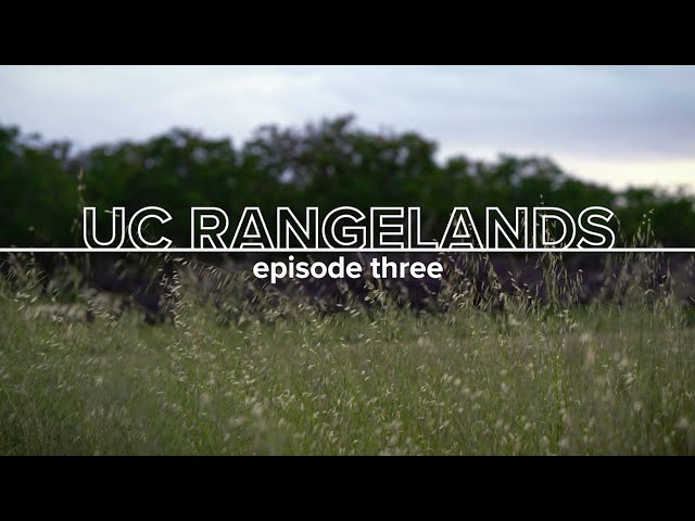 thought/space: ep3 : UC Rangelands