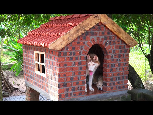 How a Craftsman Builds a Special House for a Dog