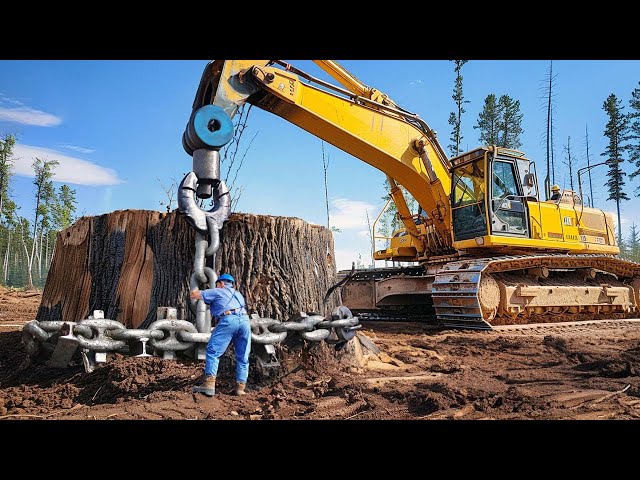 Incredible Biggest Stump Removal Excavator At Another Level | Powerful Stump Grinding Machines