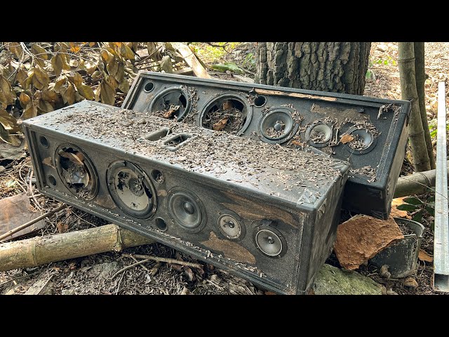 Restoration 3 Way Speakers Abandoned For Many Years // Amazing Restoration