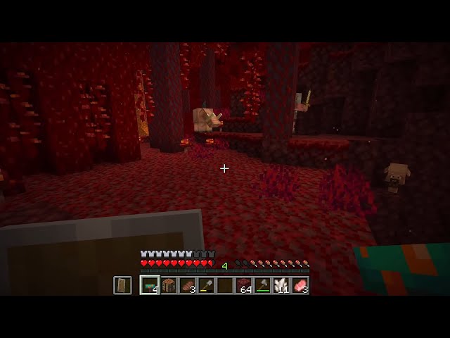 Minecraft The Nether is SO HARD AND SCARY!!