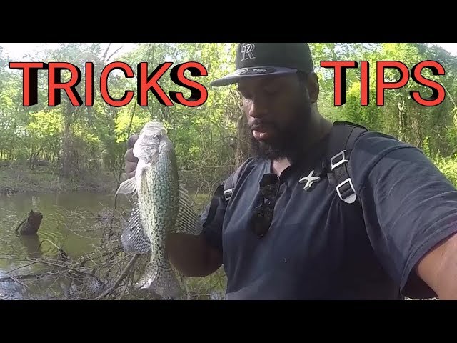 Bank Fishing Tips And Tricks For Spawning Crappie