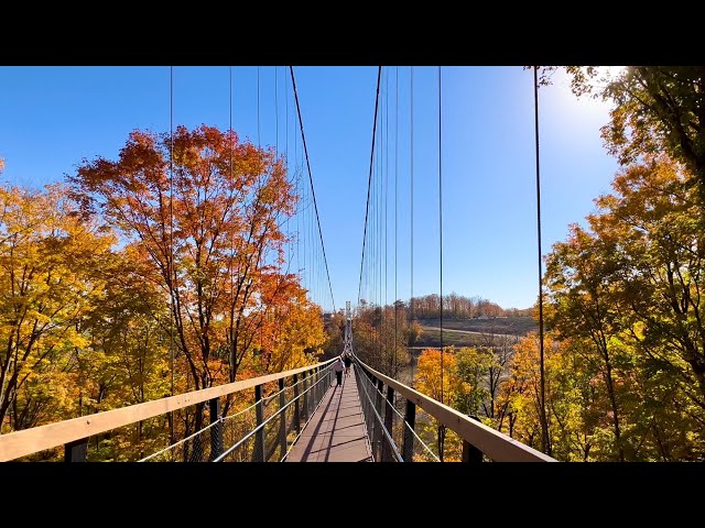 SkyBridge Michigan at Boyne Mountain with PEAK Fall Colors - 4K video