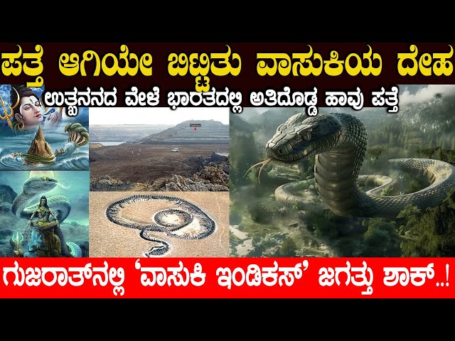 ಪತ್ತೆ ಆಗಿಯೇ ಬಿಟ್ಟಿತು ವಾಸುಕಿಯ ದೇಹ..! ವಿಶ್ವದ ಅತಿ ದೊಡ್ಡ ಹಾವು || World's Largest Snake Lived in Gujarat