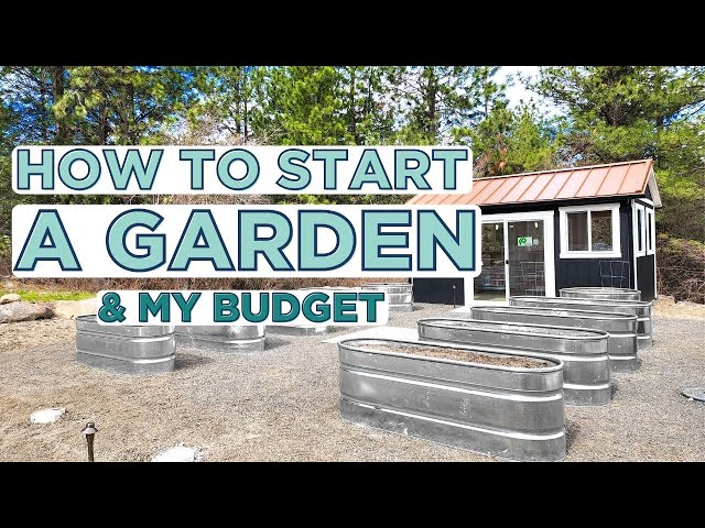 GROWING YOUR FIRST GARDEN | Budget Tips + Planning