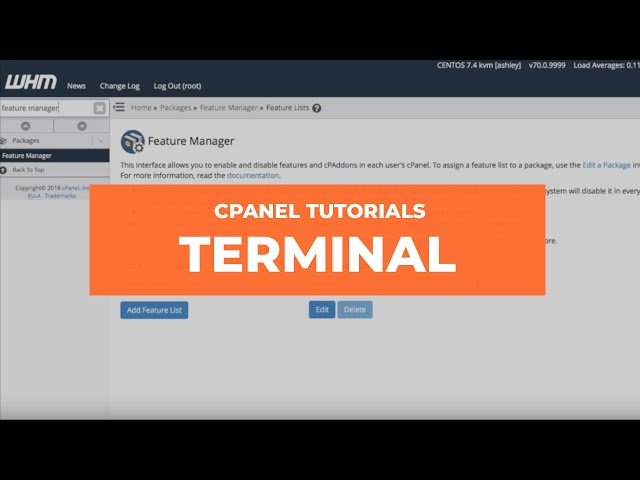 WHM Tutorials - Terminal