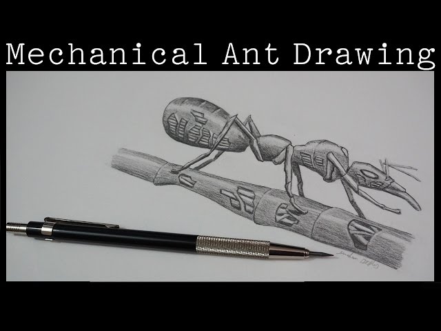 Drawing Time Lapse: Mechanical Ant