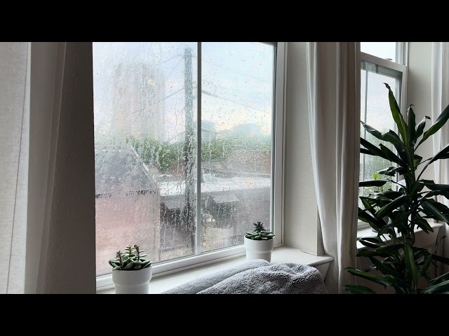 Relaxing morning #rainydays #relaxingmusic #calmmusic #rain 🌧️⛈️🌸