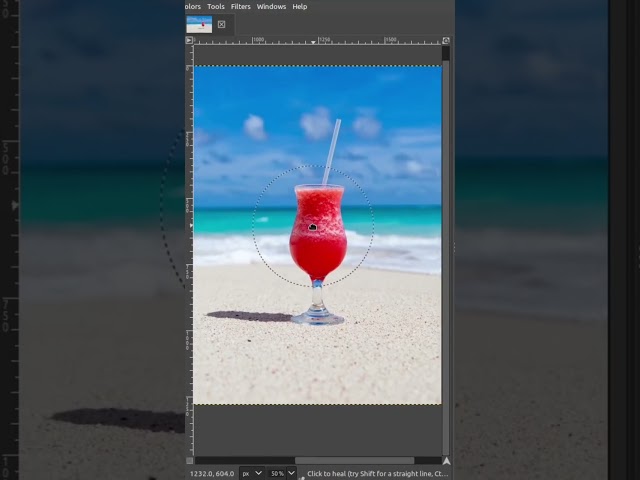 Remove / Erase From Scene - GIMP