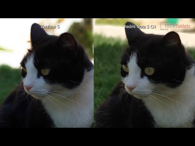 Redmi Note 5 Ai Vs ZenFone 5 Camera Comparison