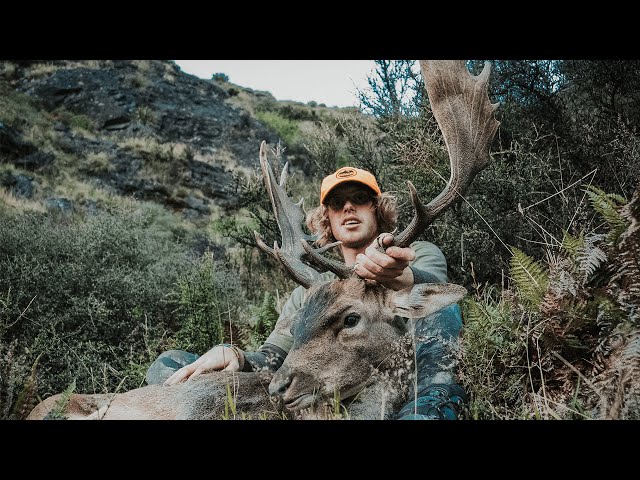Hunting Red Stag, Fallow and Chamois, New Zealand || The Weekend Mish ep1, S2