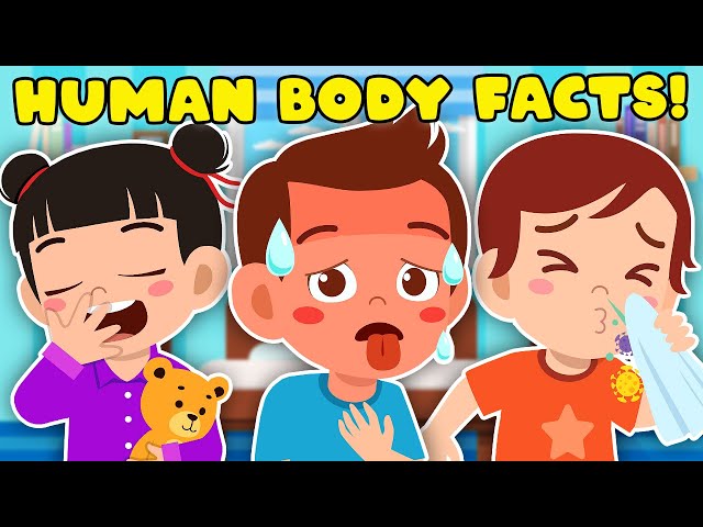 Weirdest Human Body Facts! | Human Body Compilation For Kids | KLT