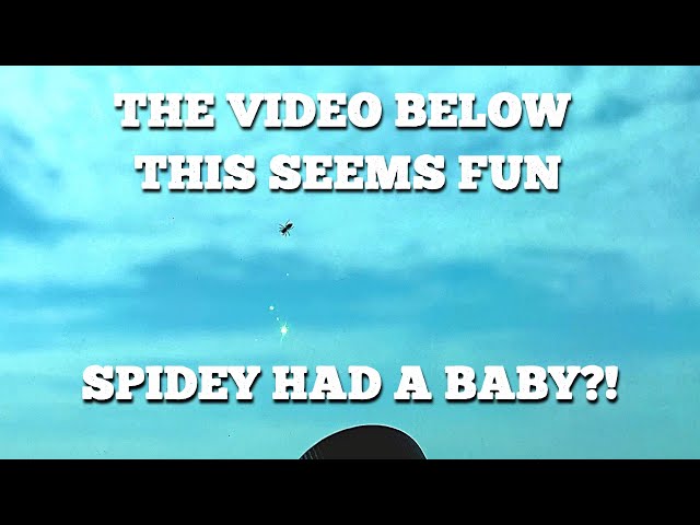 Spider chasing laser pointer (Part 4)