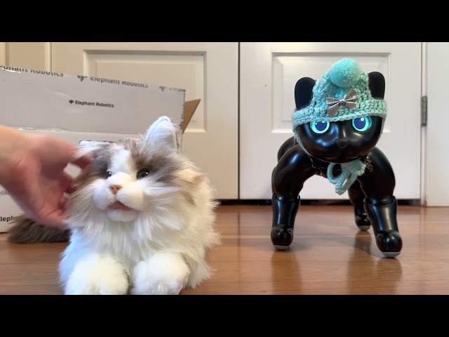 metaCat Robotic Cat Unboxing and First Impressions