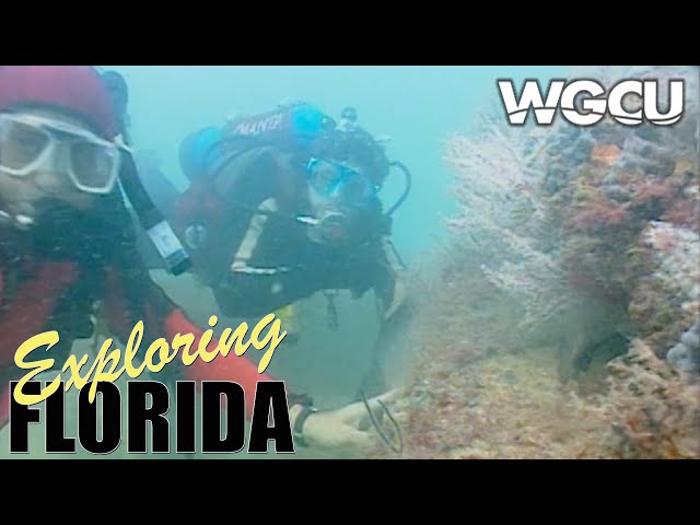 JC Artificial Reef near Sanibel Island, FL | Exploring Florida | WGCU Vintage Documentary Series