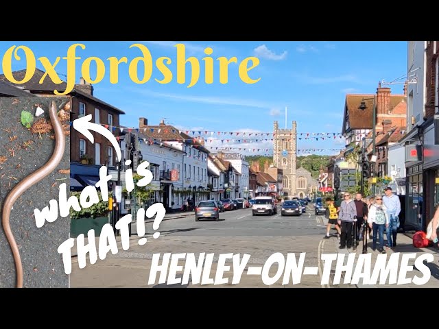 Henley, the Greys and the Rotherfields Circular | Henley-on-Thames