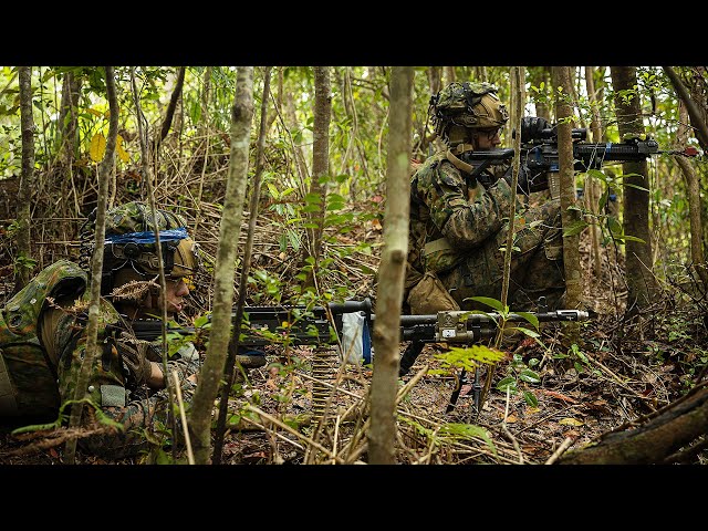 U.S. Marines, Japanese Soldiers conduct Jungle Warfare Training | Iron Fist 2024