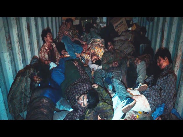 Humanity Is Tested when A Deadly Virus Spreads the Whole Country |FLU|FILM