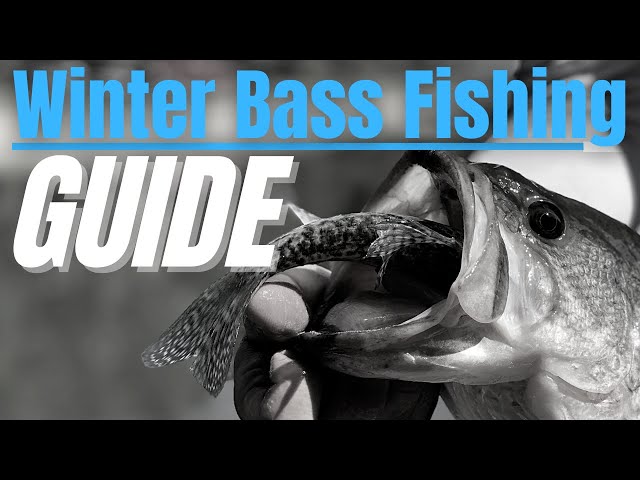 WINTER Bass Fishing COMPLETE GUIDE // Where do They go in Cold Water??