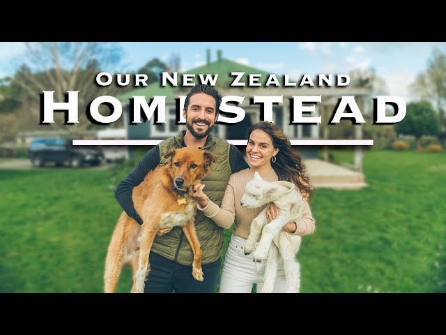 Moving into our Homestead on 2 1/2 acres | Our Crazy First Week