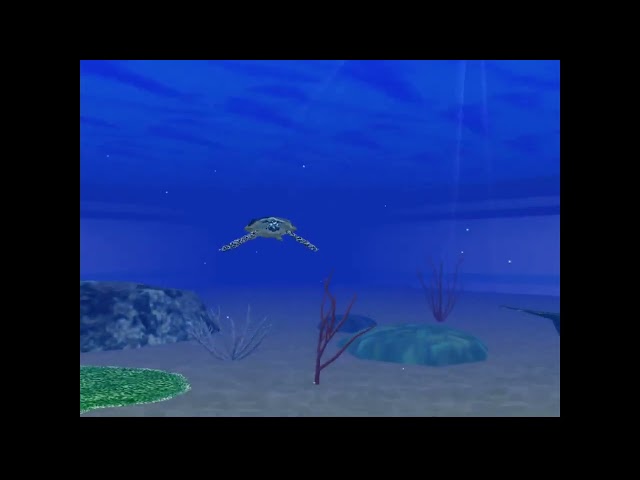 DREAMCAST: Sega Marine Fishing - (Unfinshed) Aquarium Camera Route #10 - 20 Mins