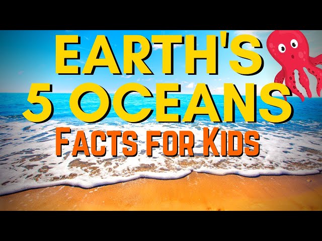 What Are The Five Oceans for Kids | Pacific and Atlantic Ocean, Indian, Arctic and, Southern Ocean