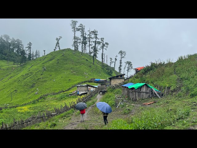 Simple Nepali Mountain Village Life: Natural Beauty of Nepali Village || IamSuman