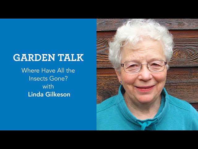 Garden Talk: Where Have All the Insects Gone? with Linda Gilkeson