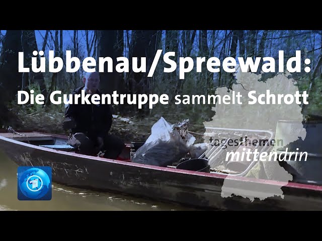 Lübbenau/Spreewald: Die Gurkentruppe sammelt Schrott | tagesthemen mittendrin