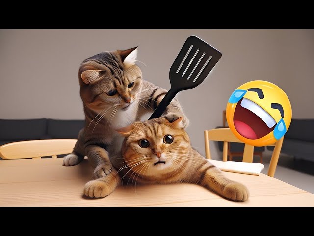 Best Funny Animals 2024 🤩 Funniest Dogs and Cats 😻🐶 Part 27