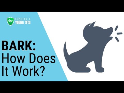 Bark Parent Monitoring App: How Does It Work?