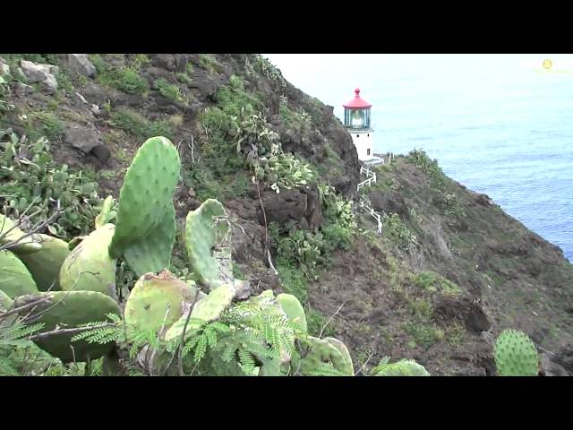 Did You Know: Makapu'u Point Lighthouse