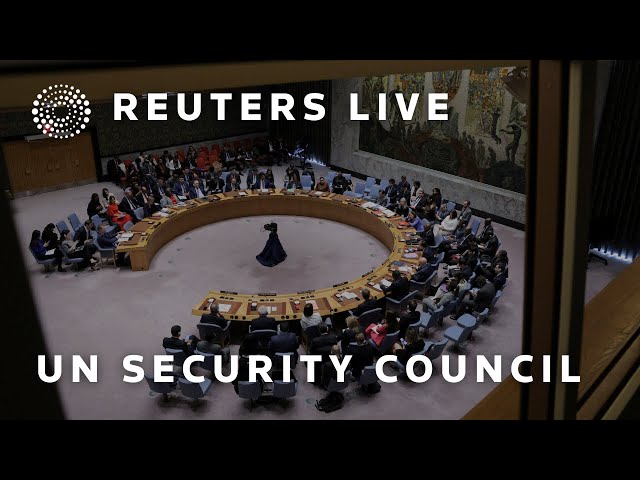 LIVE: UN Security Council meets on situation in Middle East