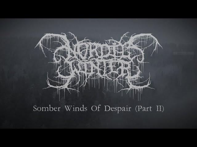 Nordicwinter - Somber Winds Of Despair (Part two) [Lyric Video] (Depressive Black Metal)
