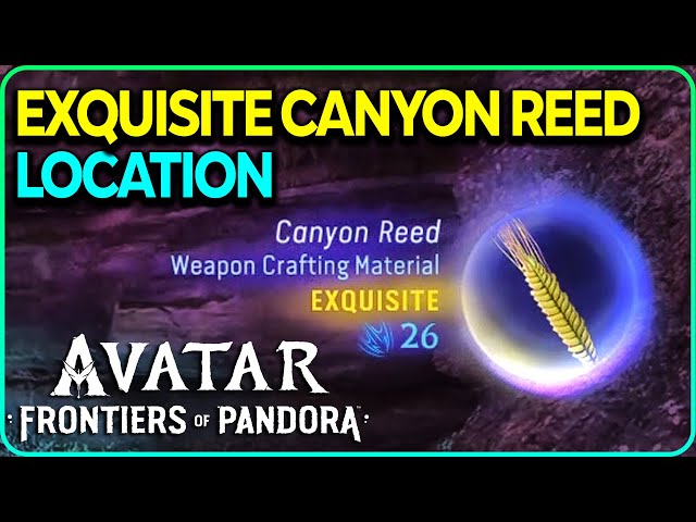 Exquisite Canyon Reed Location Avatar Frontiers of Pandora