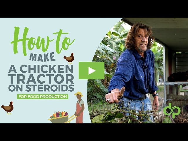 How to Make a Chicken Tractor on Steroids [FULL VIDEO]