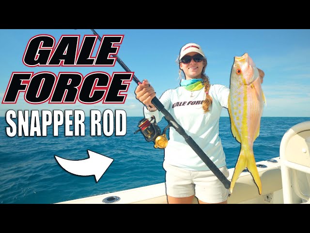 The Inshore Reef Slayer Rod | Fishing with Gale Force Snapper Rod