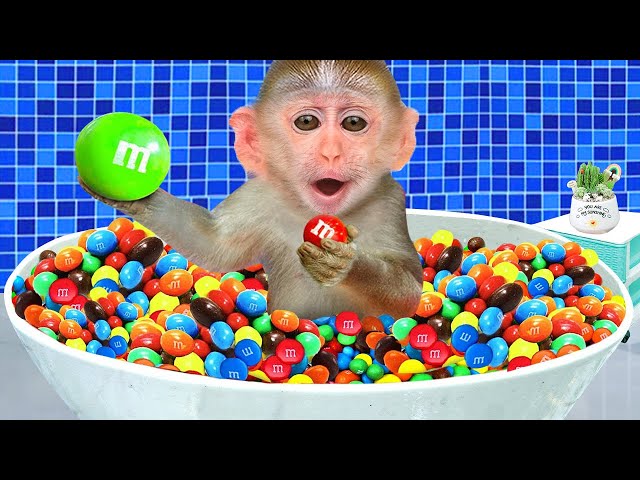 Baby Monkey BiBi bathing in a bathtub of M&Ms and fishing in the bathtub |Coco Monkey