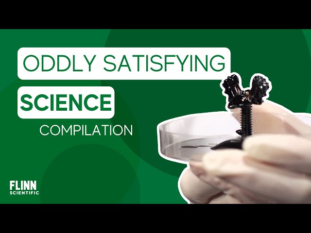 Oddly Satisfying Science Compilation