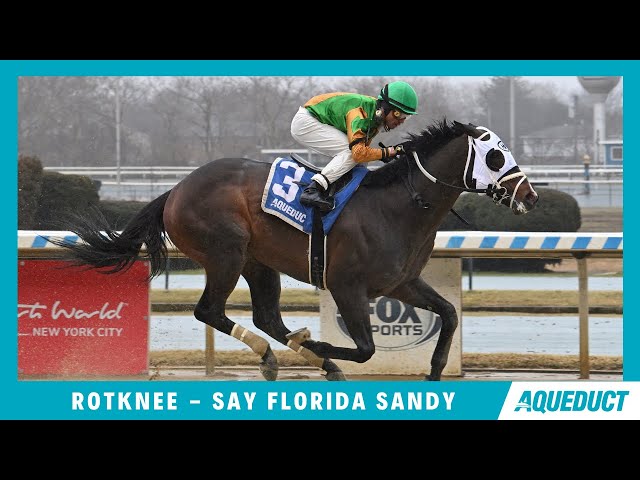 Rotknee - 2024 - Say Florida Sandy