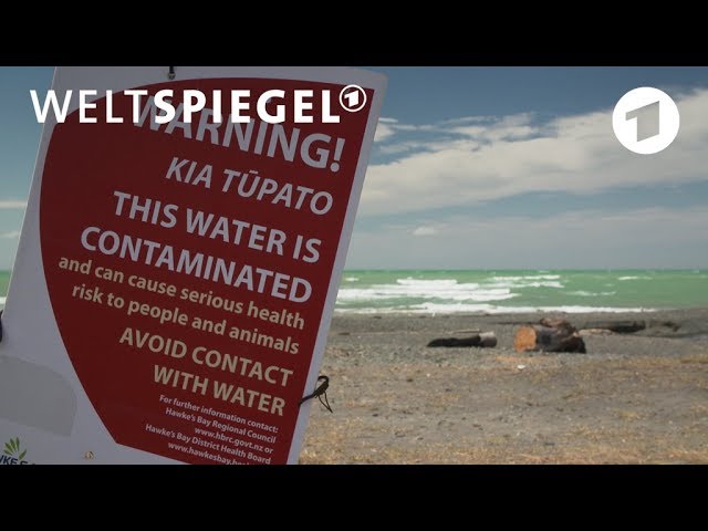 Fake-Image Neuseeland: Die Realität von verseuchtem Trinkwasser | Weltspiegel