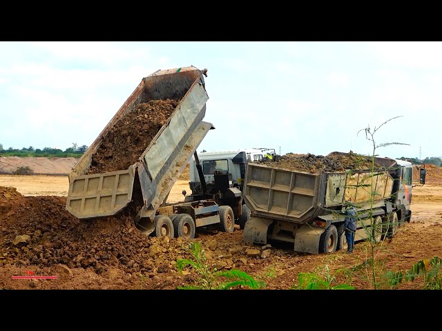 amazing safety operator dumper truck loading spread dirt pushing improvement with bulldozer komatsu