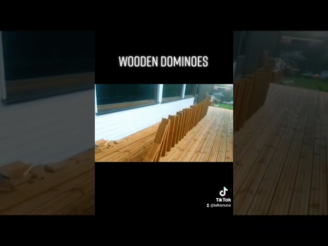 Epic Wooden Dominoes #shorts #domino #satisfying